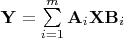 $\mathbf{Y} = \sum\limits_{i=1}^m\mathbf{A}_i \mathbf{X} \mathbf{B}_i$