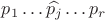 $p_1\ldots \widehat{p_j} \ldots p_r$
