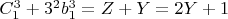 $C_1^3 + 3^2b_1^3 = Z + Y = 2Y + 1$