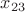 $x_{23}$