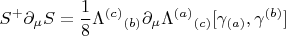 $$
S^{+} \partial_{\mu} S = \frac{1}{8} {\Lambda^{(c)}}_{(b)} \partial_{\mu} {\Lambda^{(a)}}_{(c)} [ \gamma_{(a)}, \gamma^{(b)} ]
$$