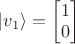 $| v_1 \rangle = \begin{bmatrix} 1 \\ 0 \end{bmatrix} $