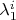 $\lambda_1^i$