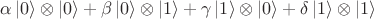 $\alpha \left|0\right>\otimes \left|0\right> + \beta \left|0\right>\otimes \left|1\right> + \gamma \left|1\right>\otimes \left|0\right> + \delta \left|1\right>\otimes \left|1\right>$