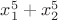 $x_{1}^5+x_{2}^5$
