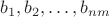 $b_1,b_2,\ldots,b_{nm}$