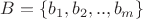 $B=\{b_1, b_2, ..,b_m\}$