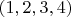 $(1,2,3,4)$