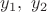 $y_1,~y_2$