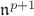$\mathfrak{n}^{p+1}$