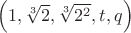 $\left(1,\sqrt[3]{2},\sqrt[3]{2^2},t,q\right)$