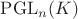 $\operatorname{PGL}_n(K)$
