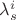 $\lambda _s^i$