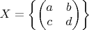 $X = \left\lbrace \begin{pmatrix}
a & b \\
c & d
\end{pmatrix} \right\rbrace$