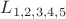 $L_{1,2,3,4,5}$ $L_{1,2,3,4,5}$