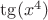$\tg(x^4)$