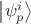 $\left| \psi_p^i \right\rangle$