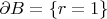 $\partial B=\{r=1\}$