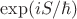 $\exp(iS/\hbar)$