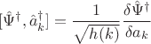 $$
[ \hat \Psi^{\dag}, \hat a^{\dag}_{k} ] = \frac{1}{\sqrt{h(k)}} \frac{\delta \hat\Psi^{\dag}}{\delta a_{k}}
$$