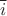 $\overline{i}$