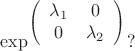 $$\exp^{\left(%
\begin{array}{cc}
   \lambda_1 & 0 \\
    0 & \lambda_2 \\
\end{array}%
\right)}?$$