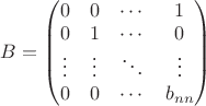$B = \begin{pmatrix}
 0 & 0 & \cdots & 1 \\
 0 & 1 & \cdots & 0 \\         
 \vdots & \vdots & \ddots & \vdots \\
 0 & 0 & \cdots & b_{nn}
 \end{pmatrix}$