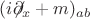 $(i{\not}\partial_x + m)_{ab}$