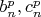 $b_n^p, c_n^p$