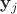 $\mathbf y_j$