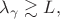 $\lambda_\gamma\gtrsim L,$