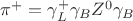 $\pi^+ = \gamma_L^+\gamma_BZ^0\gamma_B$