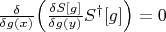 $\frac{\delta}{\delta g(x)}\Big(\frac{\delta S[g]}{\delta g(y)} S^\dagger[g]\Big)=0$