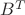 $B^{T}$
