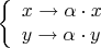 $$
\left\{ \begin{array}{l} 
x\to \alpha\cdot x \\ 
y\to \alpha\cdot y
\end{array} \right.
$$
