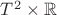 $T^2\times {\mathbb R}$