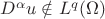$D^\alpha u\notin L^q(\Omega )$