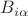 $B_{i \alpha}$