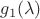 $g_1(\lambda )$ $g_1(\lambda )$