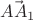 $\vec{AA_1}$
