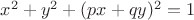 $x^2+y^2+(px+qy)^2=1$