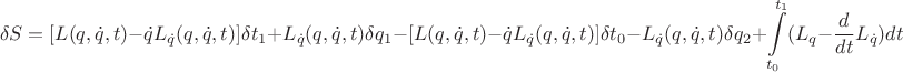 $$\delta S=[L(q,\dot{q},t)-\dot{q}L_{\dot{q}}(q,\dot{q},t)]\delta t_1 + L_{\dot{q}}(q,\dot{q},t)\delta q_1-[L(q,\dot{q},t)-\dot{q}L_{\dot{q}}(q,\dot{q},t)]\delta t_0-L_{\dot{q}}(q,\dot{q},t)\delta q_2+\int\limits_{t_0}^{t_1} (L_q-\frac{d}{dt}L_{\dot{q}})dt $$