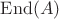 $\mathrm{End}(A)$