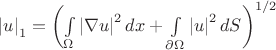\left|u\right|_1=\left({\int\limits_\Omega{\left|{\nabla{u}}\right|^2dx}+\int\limits_{\partial\Omega }{\left|u\right|^2dS}}\right)^{1/2}