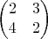 $$\begin{pmatrix}
2 & 3 \\
4 & 2 \\
\end{pmatrix}$$