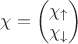 $\chi = \begin{pmatrix}
\chi_{\uparrow} \\
\chi_{\downarrow}
\end{pmatrix}$