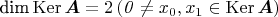 $\textrm{dim}\operatorname{Ker}\boldsymbol{A} = 2\, (\mathit{0} \ne x_0, x_1 \in \operatorname{Ker}\boldsymbol{A})$