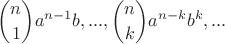 $$ \binom {n}{1}a^{n - 1}b , ... , \binom {n}{k} a^{n - k}b^k , ...$$