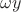 $\omega y$