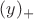 $(y)_+$
